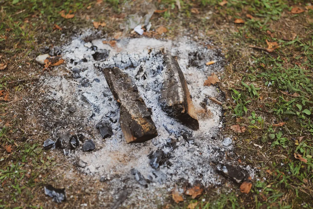 Cold gray ash and charred log remains of an extinguished campfire on the grass