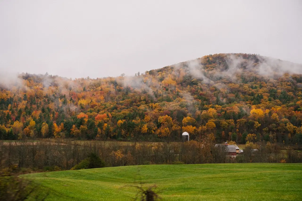 Low fog drifting over a hillside of orange and gold fall foliage above a green meadow in the New England mountains
